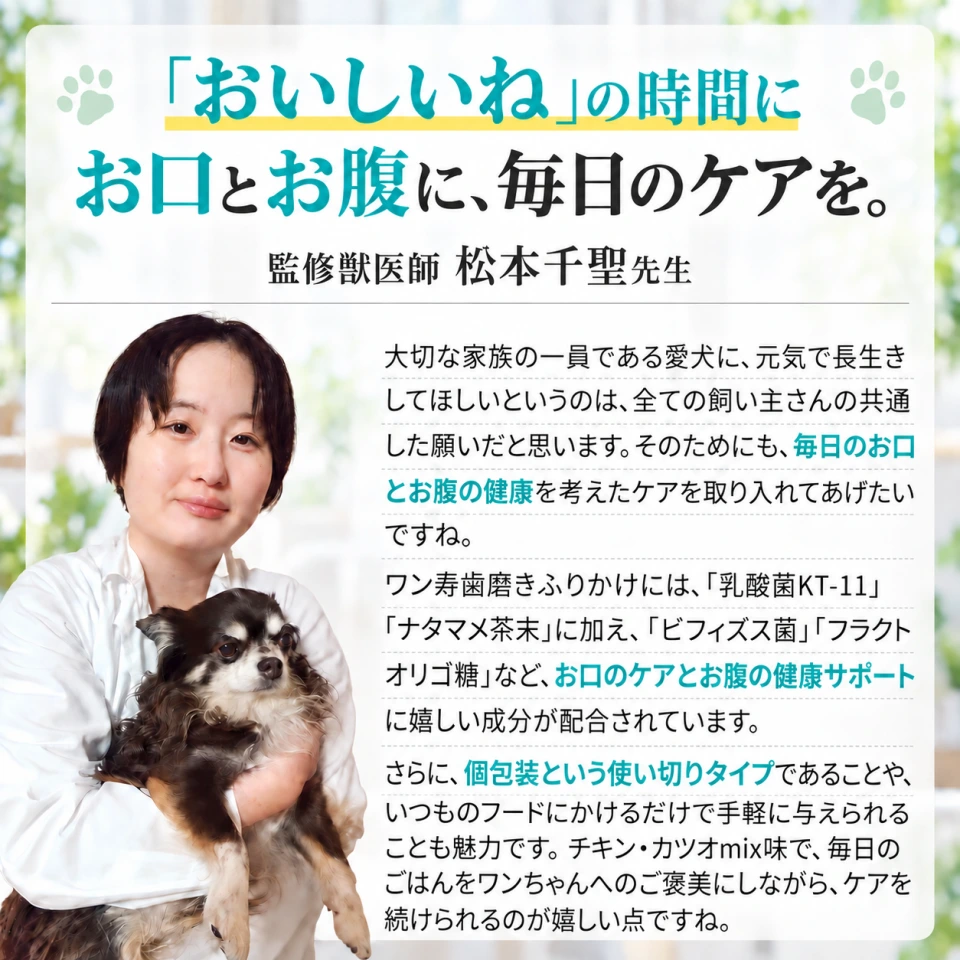 監修獣医師 松本千聖先生。「おいしいね」の時間に、お口とお腹に、毎日のケアを。