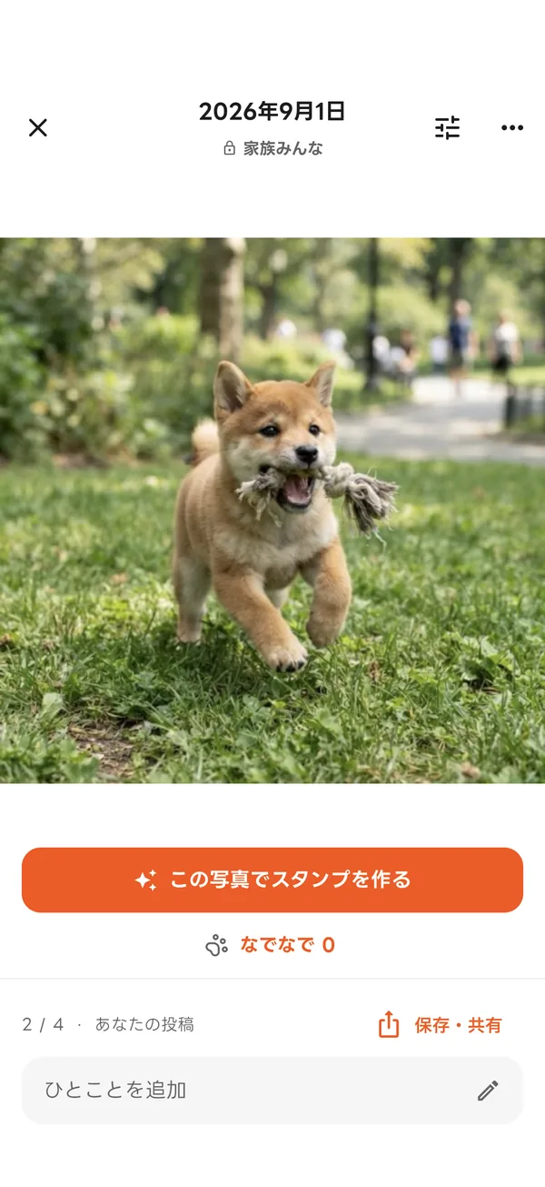 アルバムで子犬の写真を開いた画面
