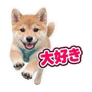 大好き