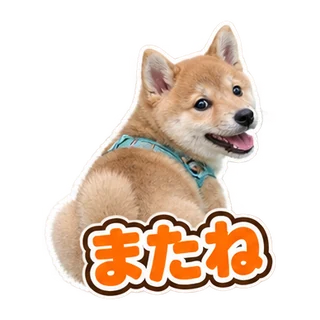またね